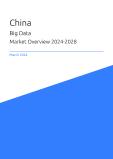 Big Data Market Overview in China 2023-2027