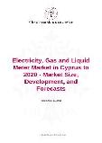Electricity, Gas and Liquid Meter Market in Cyprus to 2020 - Market Size, Development, and Forecasts