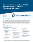 Instrumented Control Systems Services in the US - Procurement Research Report