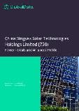 China Singyes Solar Technologies Holdings Limited (750) - Power - Deals and Alliances Profile