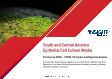 South & Central America's Epithelial Cell Culture Media 2028 Forecast Analysis