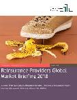 Reinsurance Providers Market Global Briefing 2018
