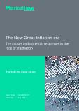 The New Great Inflation Era - The Causes and Potential Responses in the Face of Stagflation