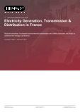 Electricity Generation, Transmission & Distribution in France - Industry Market Research Report
